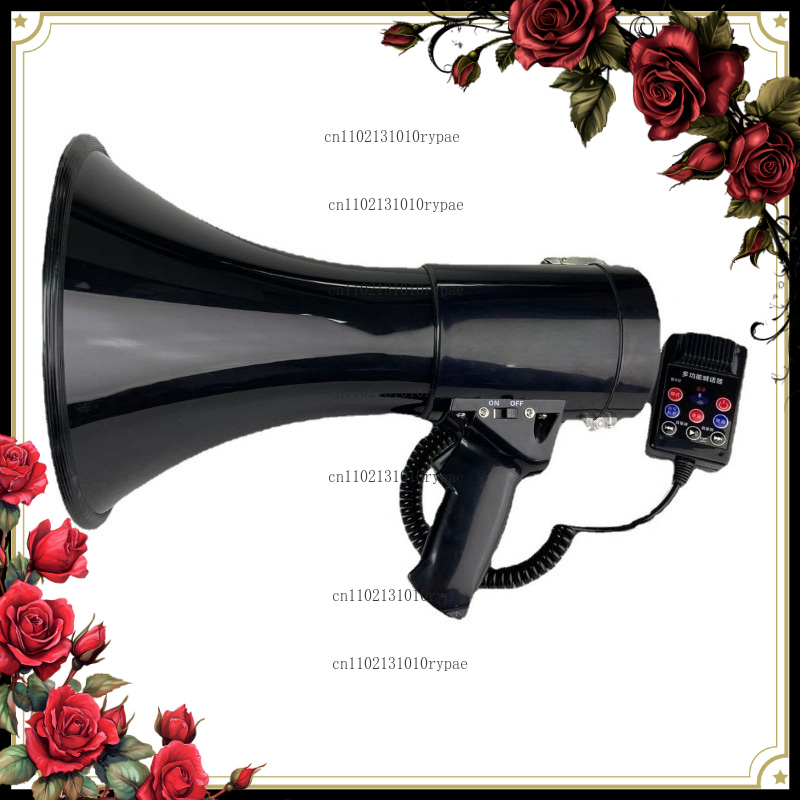 야외용 휴대형 고출력 메가폰 (블루투스, 녹음 기능,  - Outdoor Power For Wedding 리뷰 및 가격